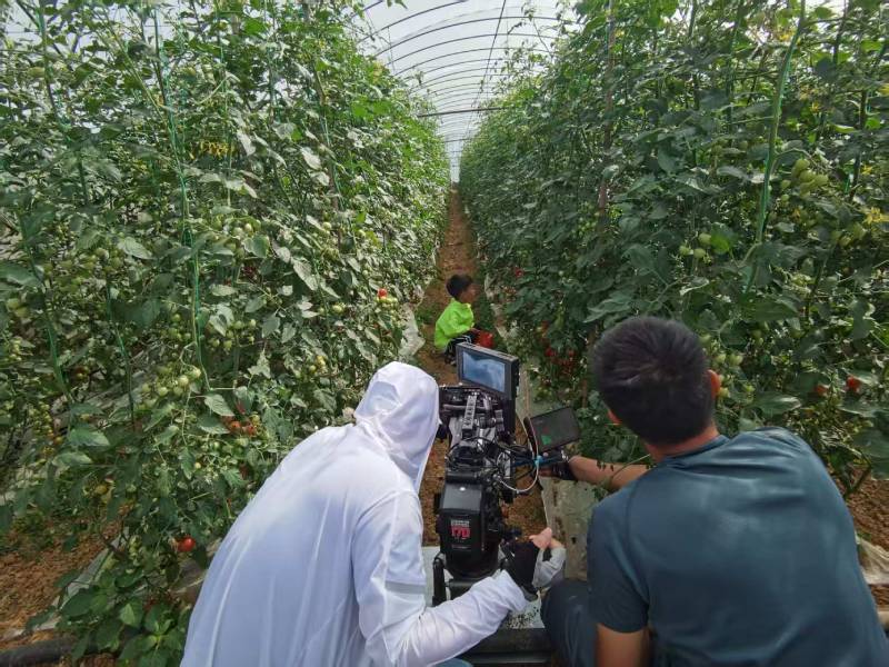 吉利区产品宣传视频拍摄公司进阶指南，助力品牌抢占传播高地